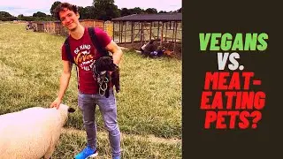 Can Vegans Have Meat-Eating Pets? | Goodheart Sanctuary Q&A ('The Animal Experience')