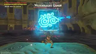 Efficient Waterblight Ganon Fight (Damageless)