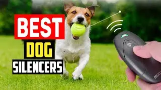 ✅ Top 5 Best Dog Silencers To Help Train Your Canine 2025