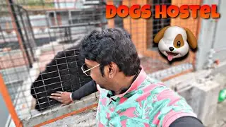 SWEET RASCAL, YERCAUD  HILLS // DOGS LIBRARY //PONDICHERRY VIA YERCADU HILLS TO BANGALORE #dogs