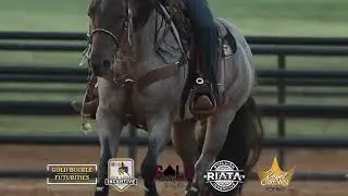 Pride And Joyy Commercial