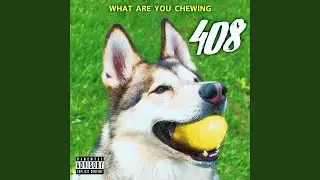 Empty Vessels