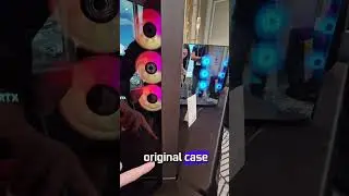 The 