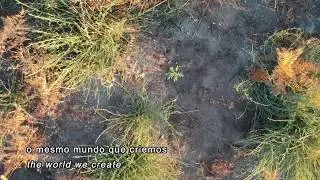 Crowdfunding 