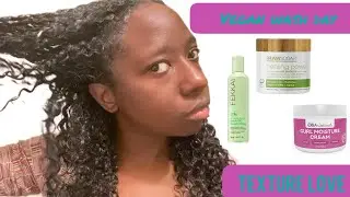 Detailed VEGAN Natural Hair Wash and Style Routine on High Porosity Hair | TEXTURE LOVE