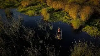 Topwater On The California Delta - Early Morning Fishing Before Work