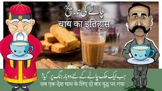 2 Wars because of Chai - History of Chai is really Interesting [Urdu/Hindi]