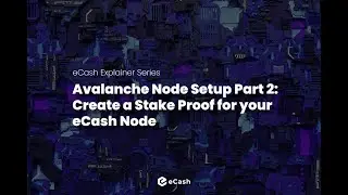 Как застейкать свои eCash &mdash; XEC Staking Rewards, часть 2: создайте доказательство стейкинга для своего узла