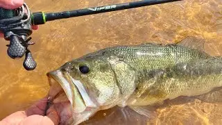 1 Year Review: Ark Viper Casting Rod