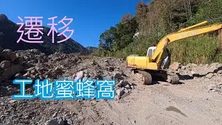 搶救小蜜蜂系列-工地蜜蜂窩（上集）-跟著阿浦開箱真實的野蜜吧