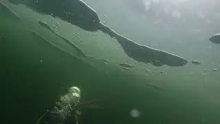 First time diving under ICE, PADI ICE DIVER in BALTICS !!!
