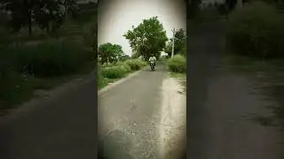 #pulsar135ls #youtubeshorts #rider #pulsar