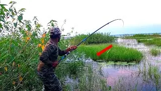 Float Fishing | Three Hook Fishing | Rohu Fish Catching | Steelhead Fishing