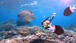 Snorkelling the Great Barrier Reef with Wavelength