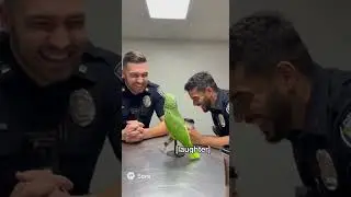 THE PARROT WHO ROASTED THE COPS 🦜🕵️&zwj;♂️ #police #funny #parrot #birds #cute #viral #viralshorts