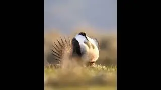 Улыбнись  #Shorts #fantastic #nature #reelvideo #natureview #reels #videos  #relaxing #relax