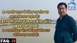 मछली पालन के लोन पर ब्याज कितना पड़ता है? Role of kcc In Fish Farming। kisan credit card। PvrAqua