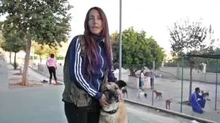 Reportaje Protectora de Animales y Plantas de M&aacute;laga
