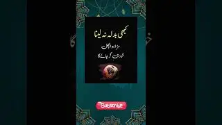 Wise Islamic Quotes That Teach Life Lessons