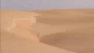 Quintanilla crash stage 10 Dakar 2019
