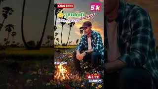 ខ្លុយស្នេហ៍ត្នោតទេ, Cover dy, monou,