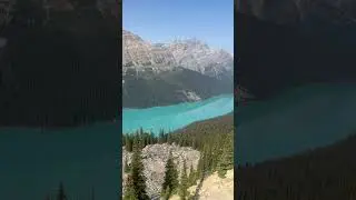 Peyto Lake #banffnationalpark #canadianlake #banffnationalpark #icefieldsparkway #explorealberta