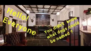 Dogs names you propobly didn't know