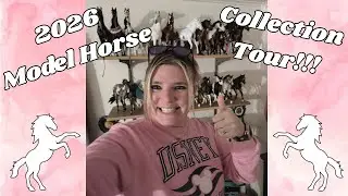 2026 Model Horse Collection Tour!!!