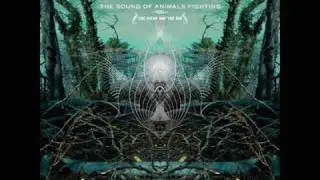 On the Occasion of Wet Snow -The Sound Of Animals Fighting