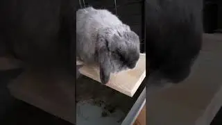 #грей #эстетика
