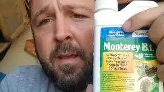 What is BT? Why do I use it on my plants?