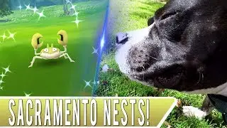 BEST SHINY HUNTING NESTS IN SACRAMENTO! Huge Krabby Nest and Bulbasaur Nest + Helping the Homeless!