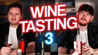 Are These CHEAP Wines Any Good? (Taste Test)