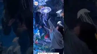 China's Ultra-Realistic 3D Amusement Park