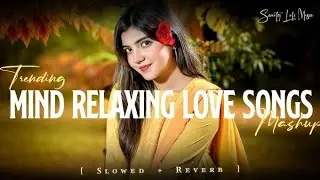MOOD FRESH LOFI MASHUP SONG | MASHUP LOVE | MIND RELAX LOFI MASHUP | #LOFISONGS #SLOWEDANDREVERB
