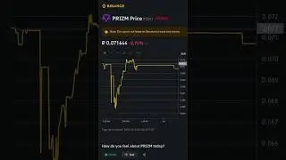 PRIZM 24.02.24 Статистика и цена