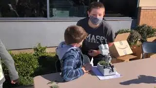 Bellview Food Forest