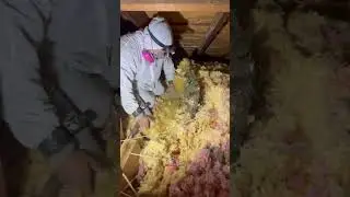 Removing Old Insulation from Texas Home