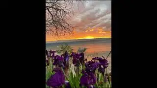 Христианская песня: любовь.   Автор слов: (Vera Hibert) Исполнитель: (Suno Ai (PRO))