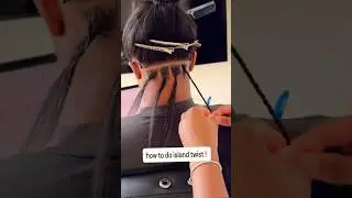 😍 #shorts #viral #fyp #shortsfeed #braids #hairstyle #twostrandtwist #pov #haircare vc: stylezbykyaj