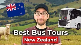 🚌 Best Small Group Bus Tours in NZ: Full Comparison - Live with NZ Pocket Guide 🌟