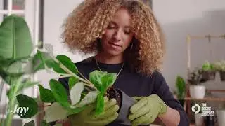 Best Gardening Gloves? Maryah Greene Reviews Barebones