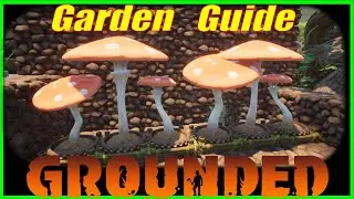 Grounded: Garden Patch All The Info You Need To Know
