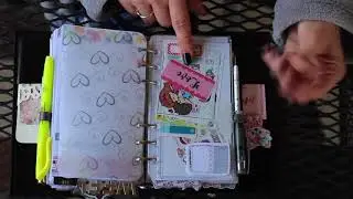 Foxy Fix Spice Rings with DIY Fish Inserts Feb 2018