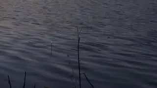 Копия видео 