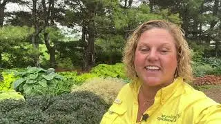 How to create a beautiful garden using shade plants