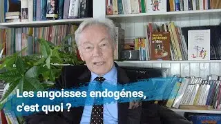 Les angoisses endog&egrave;nes, c'est quoi ?
