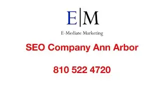 Ann Arbor SEO