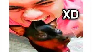 Media Hora De Momentos XD #168
