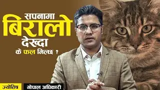 sapanama biralo . सपनामा बिरालाे देखे के हुन्छ ? sapanama biralo dekhe k huncha. sapana ma biralo .